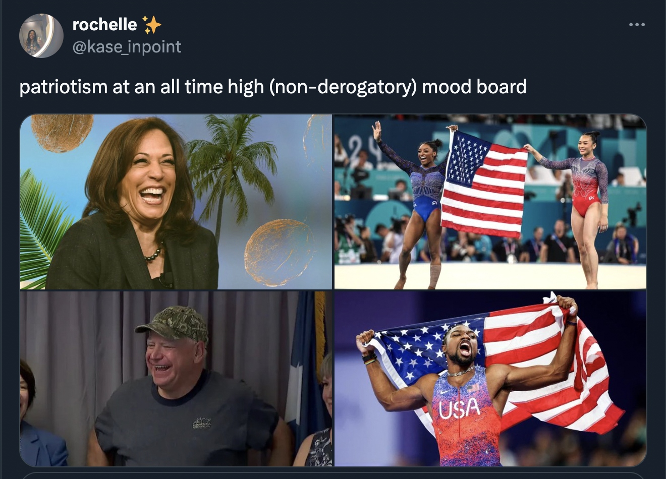 flag of the united states - rochelle patriotism at an all time high nonderogatory mood board Usa